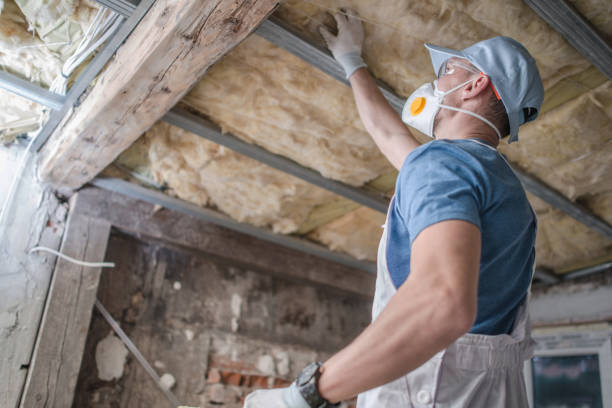 Best Residential Insulation in Makakilo, HI
